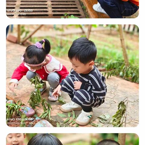 不负时光  快乐启航--秀英区中心幼儿园中一班十一月活动简报