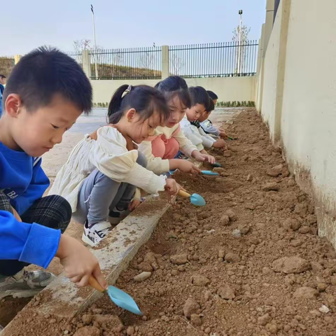 不负“秋”色 | 临朐县海岳幼儿园 种植活动纪实