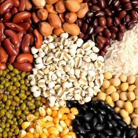 “豆”你开心1日营 | 10月22日（周日）探大豆之谜，品豆腐文化【收割黄豆】【古法脱粒】【做卤水豆腐】【水煮毛豆】