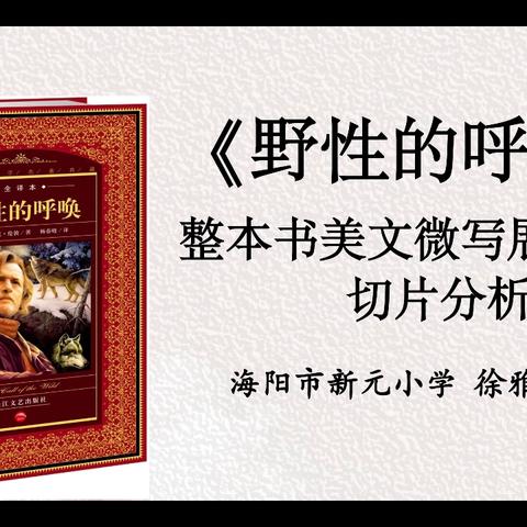 读写共生，微雕见真章——《野性的呼唤》整本书美文微写展示课切片分析