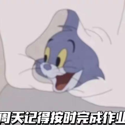 一（1）班第十一周小结