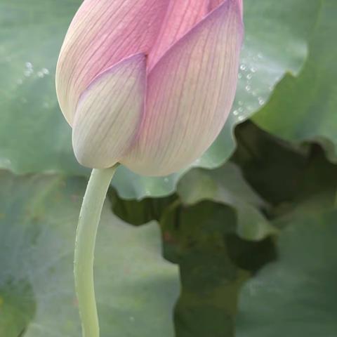 用户13083262的简篇