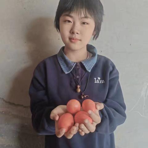 缅怀先烈志 薪火代代传——胜利小学五年级七班清明主题活动纪实