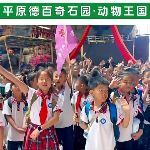 五月话奇石，研学正当时——龙门小学德百奇石园研学之旅