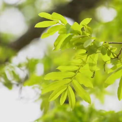 “暖暖教师节,浓浓师幼情”——兴文幼儿园教师节主题活动