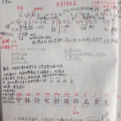 《守株待兔》  优秀作业亮风采