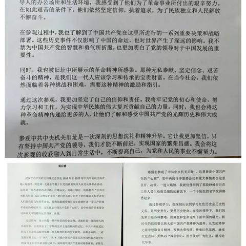 二中广雅八（6）班龙马精神争章行寒假团队实践活动