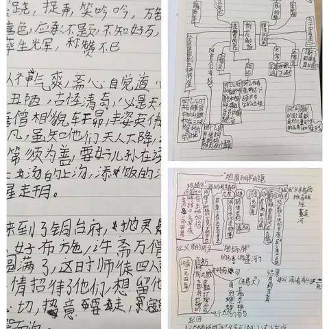 六上假期作业展 第二期