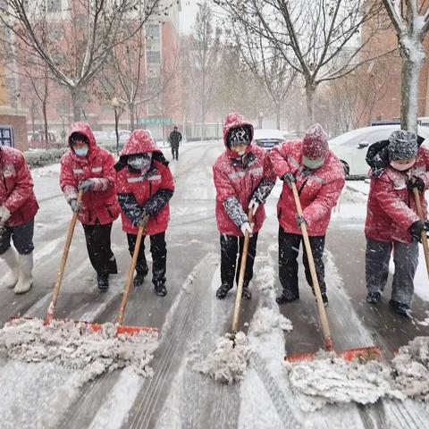 情暖冬日  铲冰除雪  利城物业除雪篇