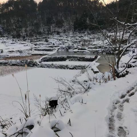 不畏严寒除积雪，破冰开路暖人心——大塘村开展“扫雪除冰”活动