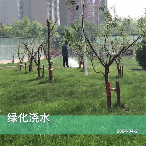 千童广场志新物业日常绿化维护