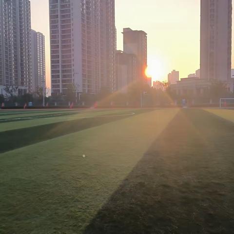 龙腾虎跃秀精彩，筑梦扬帆新征程  ——霞飞路中学八年级学生优秀寒假作业展