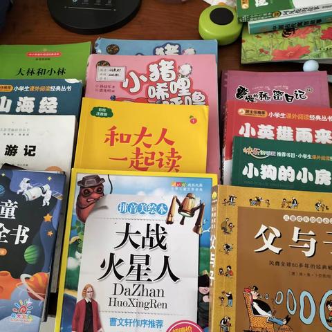 龙须塘小学2207班何奕轩，暑假双减特色作业