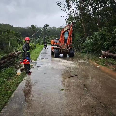 三亚育才生态区：台风过后的路障清理攻坚战