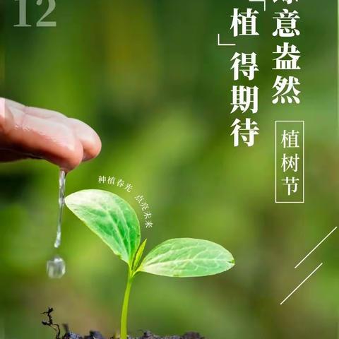 又是一年春好处，校园基地种植忙——记703班劳动实践活动