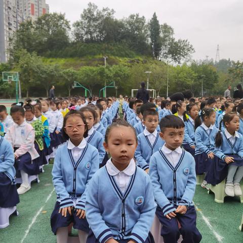 播种一种行为，收获一种习惯 九龙小学一年级2班行为规范展示