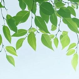 【读书月】最美人间四“阅”天，最是书香能致远——空军长飞幼儿园“读书月”活动倡议书