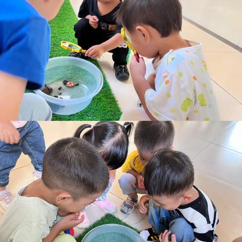 记录📝幼儿园快乐生活🌹🌈——小一班第八周周记🌼