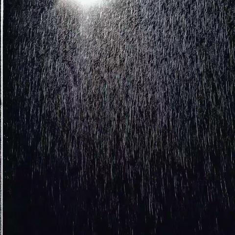 雨