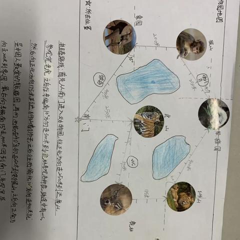 中秋国庆数学实践作业：我是小小设计师-动物园导游图