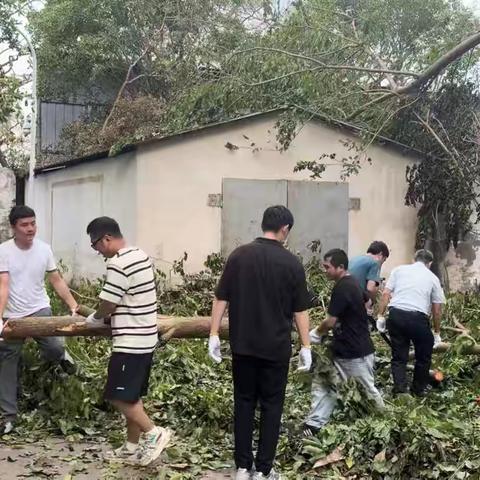 海口港社区党支部九月主题党日活动——组织开展“摩羯”台风灾后环境卫生大整治行动