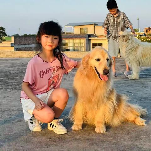 爱护动物   我在行动 ‍ ‍ ‍ ‍ ‍ ‍ ‍ ‍ ‍