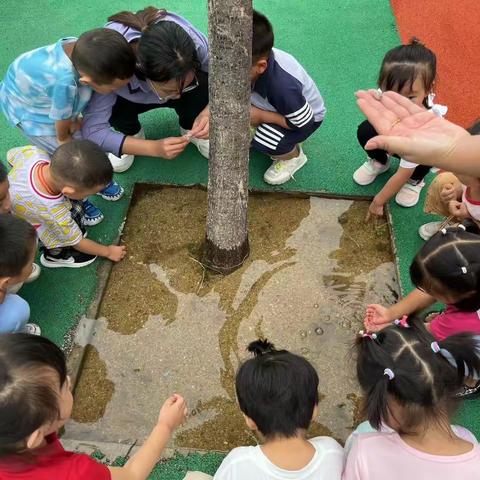 一只蜗牛引发的故事