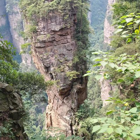 快乐暑假张家界之旅