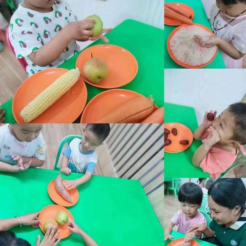 秋迎白露草尖黄，暑退蝉消谷满仓—童胜幼儿园二十四节气之白露