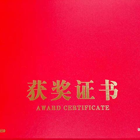 泰安市泰山区老年体协柔力球队，在2024年荣获两项奖项，全国网络视频比赛，柔力球柔乐球《共筑中国梦》荣获集体一等奖，柔力球《龙腾四海》特等奖。