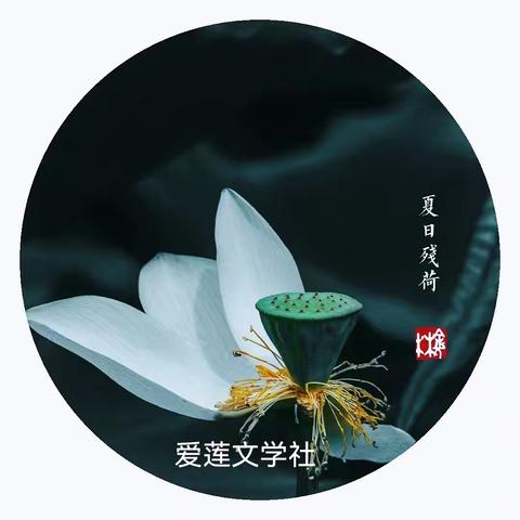 《星星小报.第35期——红灯随想》