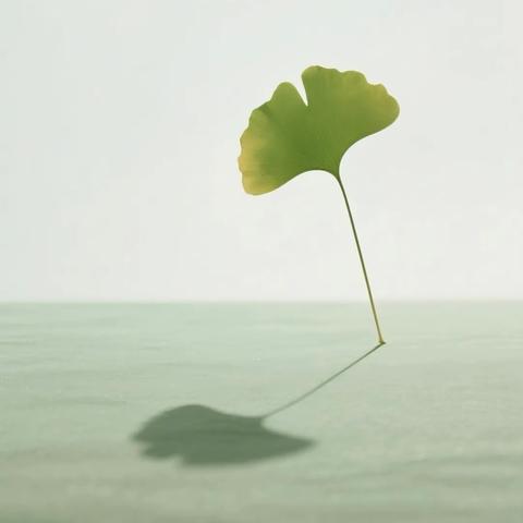 深耕课堂，共促成长——淮阳区第二实验小学听评课纪实（三）