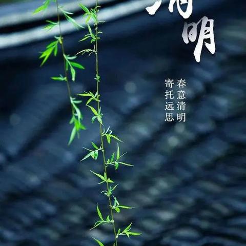 六年级四班樊欣怡清明节美篇