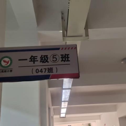 文苑街小学一年级常规展示                         一(5)班特辑