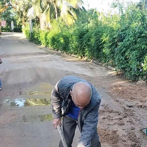 党员志愿服务 ▎乐妹村集中开展“清洁家园、防蚊灭蚊”爱国卫生专项整治活动