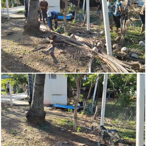 新宁坡村--深入开展人居环境整治暨防蚊灭蚊宣传活动