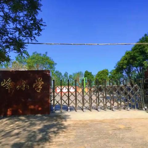 开展中国美食探索 感受传统文化魅力​