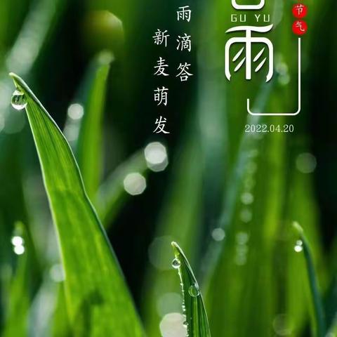 雨生百谷，时至暮春…———大二班“谷雨”节气