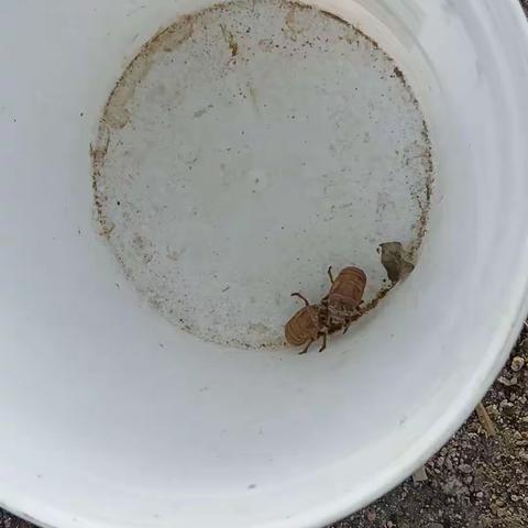 用户13154614的简篇