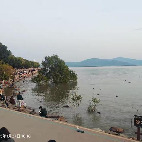 25年春节港澳游