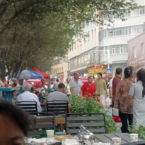 我的新疆行：风情、美食与山水间的邂逅