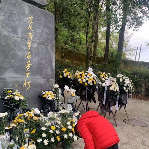 清明祭英烈传承正当时——清明祭英烈活动  硒都民族实验小学312班杨子衿