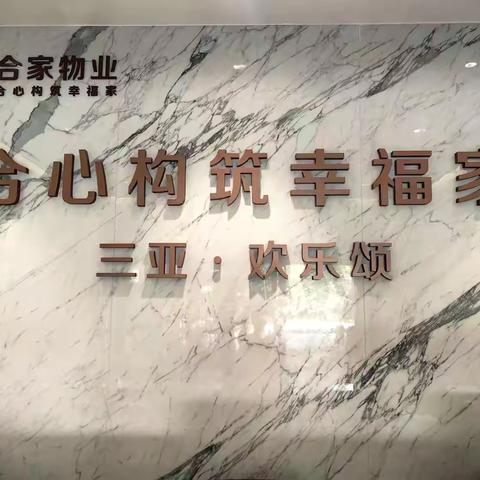 三亚欢乐颂2024年10月份工作简报