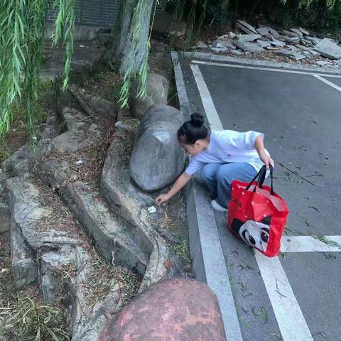 垃圾分类在进行，社区活动齐参与