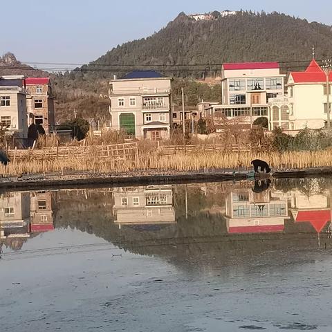 学诗有感