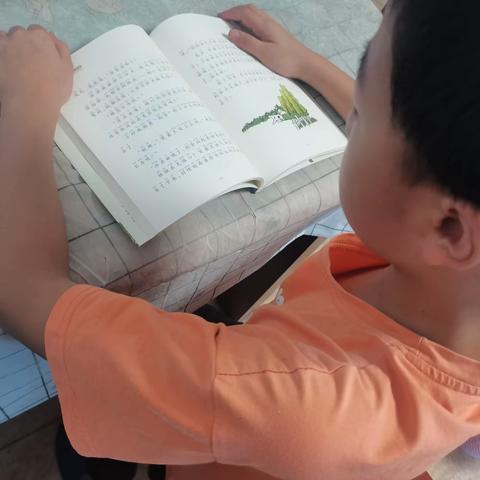 不负“暑”光未来可期