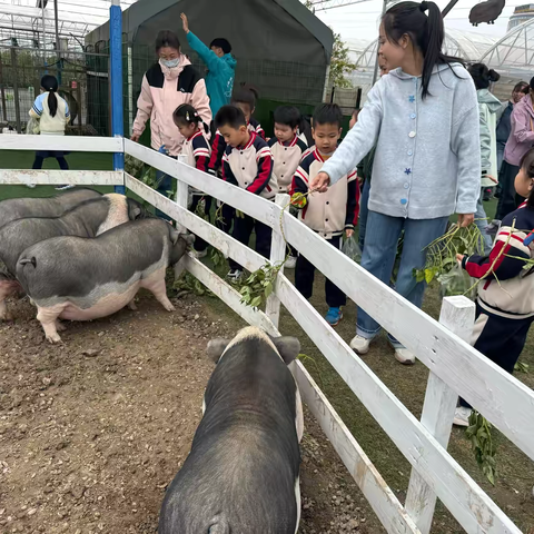 抬头看星，低头问路——幼儿园教师上海跟岗学习个人研修小结 ‍                          玉山县保育院 周雅洁