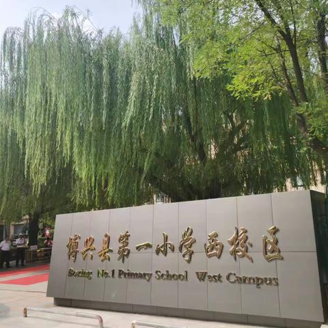 【博兴县第一小学西校区萌新入学啦】一路向阳 扬帆起航一年级八班入学纪实