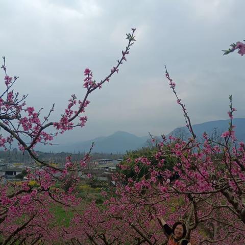 寻一季春暖，赏一路芬芳