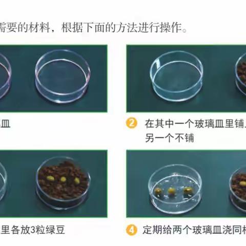 Miss Lu🐰的文章